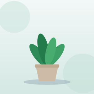 Potted plant