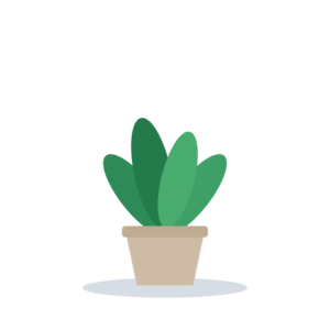 Potted plant